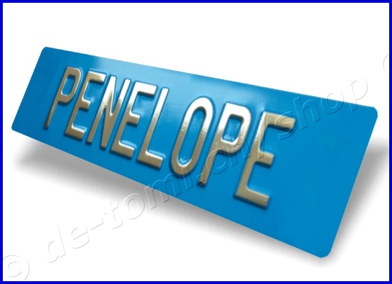 Plaque arrire bleue 110x500 mm "texte couleur or & chr. 70mm"