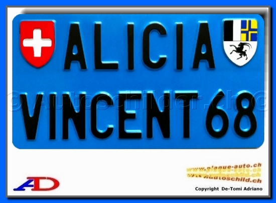 Plaque arrire bleue 160x300 mm  "texte noir 55/55mm" SPE.