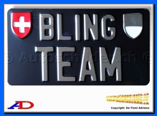 Autoschild hinten Braun 160x300 mm "Gold Chrom 55/70mm" SPE.