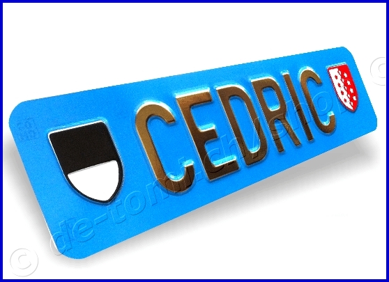 Plaque avant bleue 80x300 mm "texte or & chrome avec cussons"