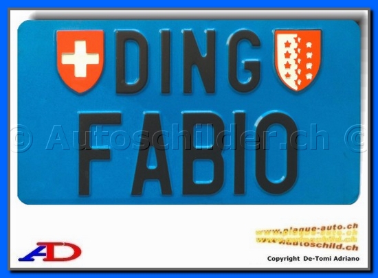 Plaque arrire bleue 160x300 mm  "texte noir 55/70mm" SPE.