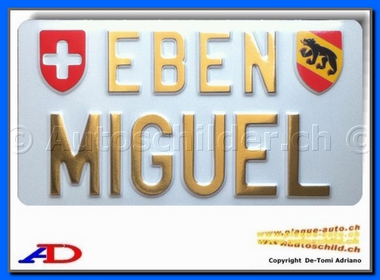 -Autoschild hinten Weiss 160x300 mm "Gold Chrom 55/70mm" SPE.