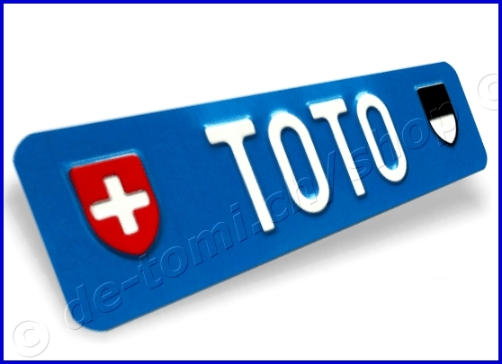 Autoschild vorne Blau 80x300 mm "Text in Farbe mit Wappen"