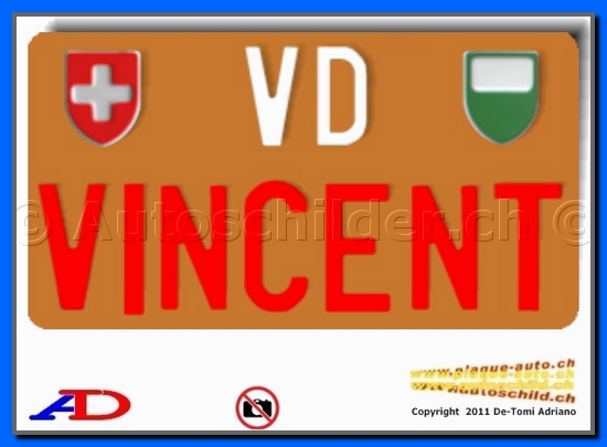 Plaque arrire brune 160x300 mm "texte couleur 55/70mm"