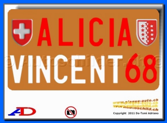 Plaque arrire brune 160x300 mm  "texte couleur 55/55mm" SPE.