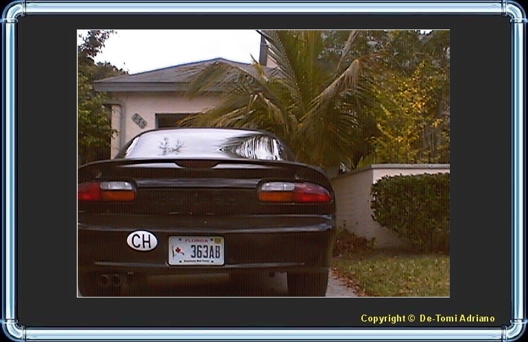 License plates FLORIDA USA