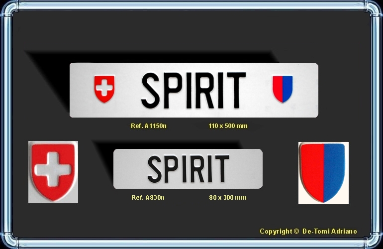 Paire de plaques TUNING TICINO SPIRIT