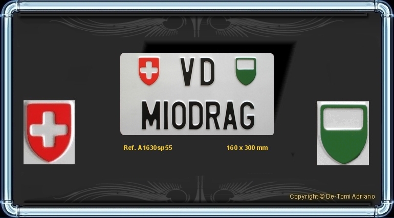 TUNING MIODRAG VAUD