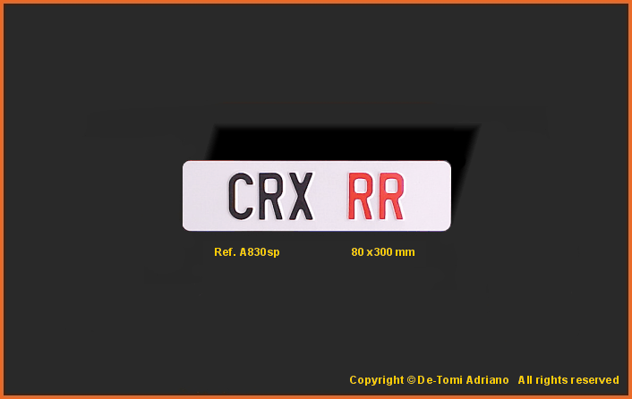 TUNING CRX RR