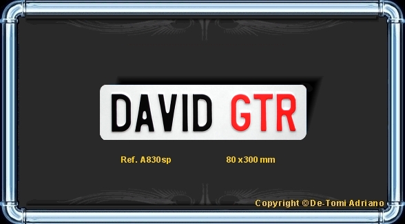 TUNING DAVID GTR