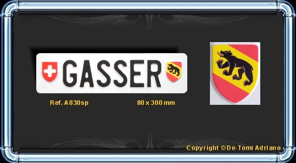 TUNING GASSER BERNE