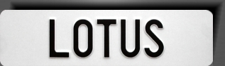 LOTUS TUNING CAR