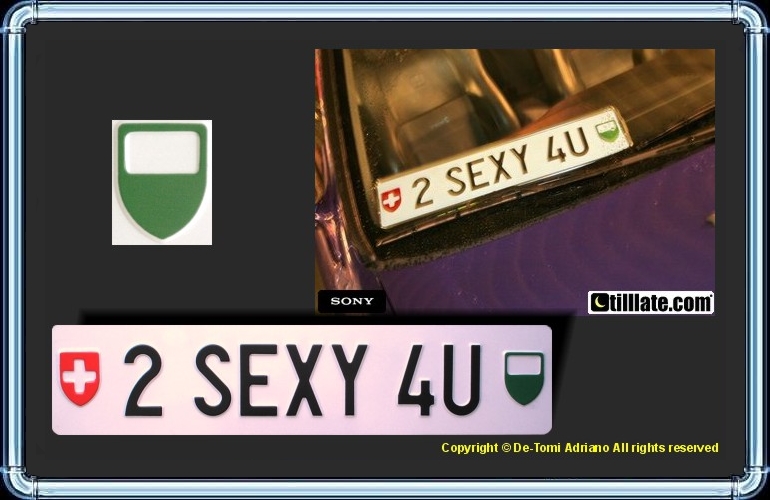 2 SEXY 4U Plaque auto