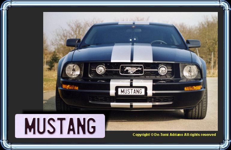 MUSTANG